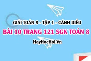 Giải bài 10 trang 121 Toán 8 Tập 1 SGK Cánh Diều
